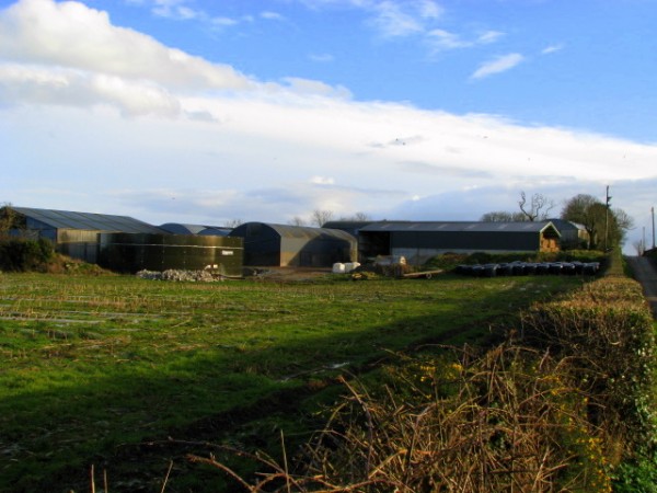 NI farm incomes plough into trough